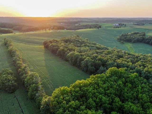 Land for sale in Viroqua, Wisconsin