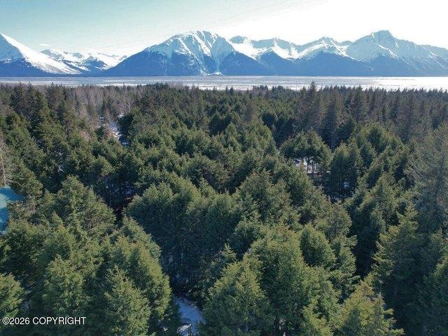 Land for sale in Girdwood, Alaska