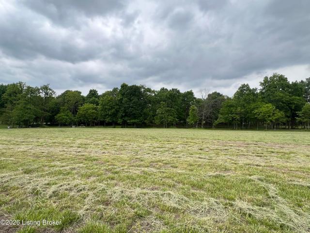 Land for sale in Clarkson, Grayson County