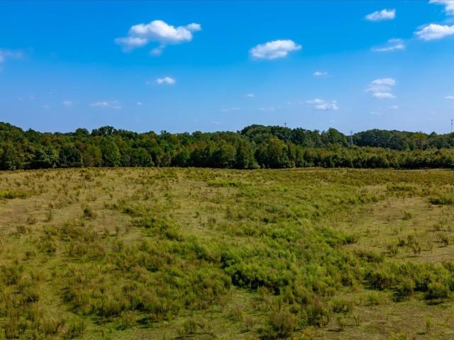 Land for sale in Pelzer, South Carolina