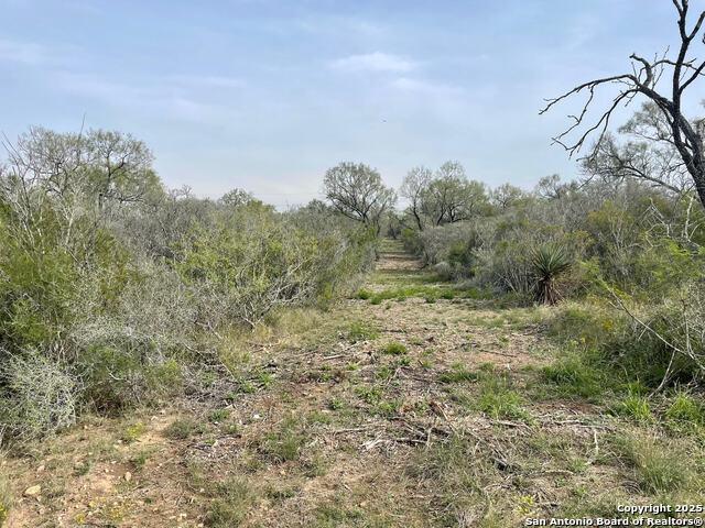 Land for sale in Moore, Texas