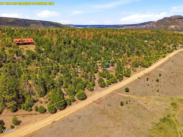 House for sale in Nutrioso, Arizona
