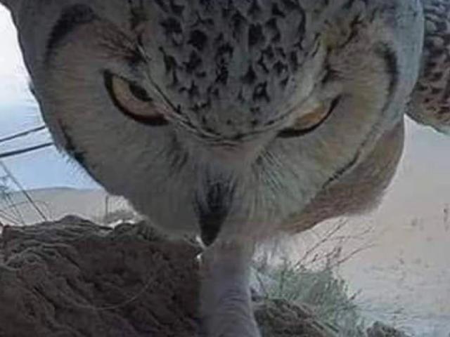 Commercial for sale in Balochistan
