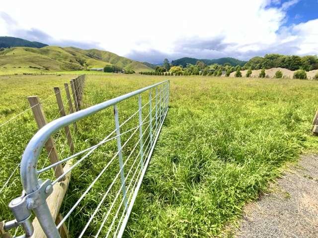Land for sale in Horowhenua District