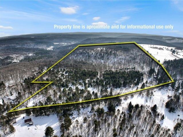 Land for sale in Newfield, New York