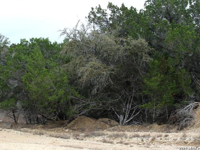 Land for sale in Pipe Creek, Texas