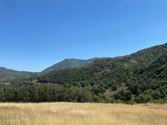 Land for sale in Springville, Utah