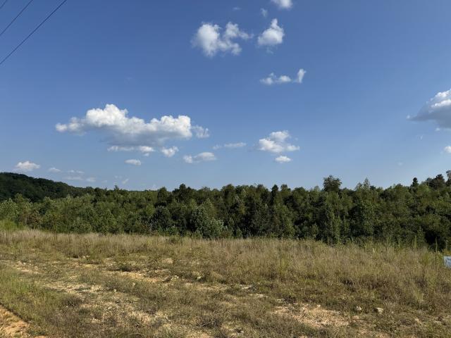 Land for sale in Lobelville, Middle Tennessee