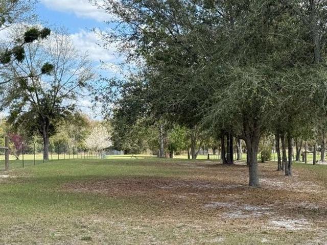 Land for sale in Suwannee, Florida