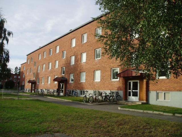 Lägenhet hyra i Luleå, Norrbotten