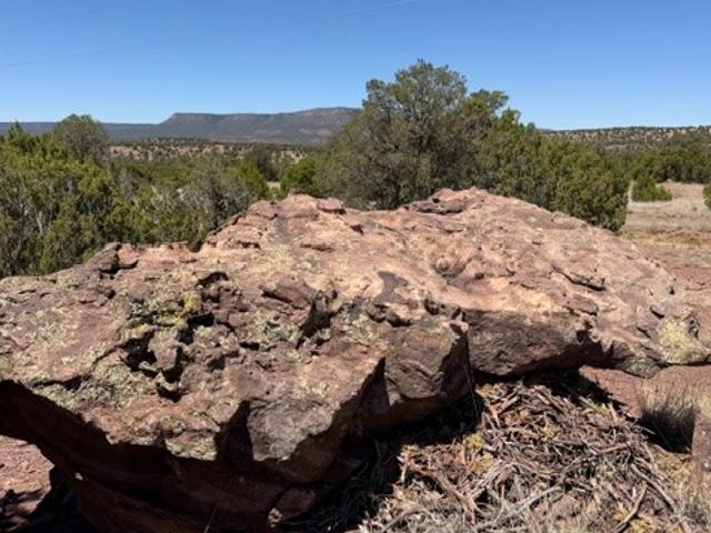 Land for sale in Ribera, New Mexico
