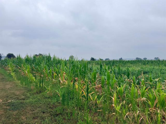 Land for sale in Prairie Du Sac, Wisconsin