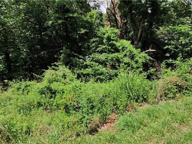 Land for sale in Ark