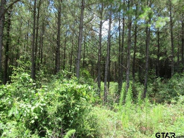 Land for sale in Smith, Texas