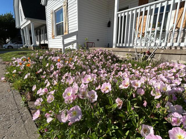 House for sale in Paris, Kentucky