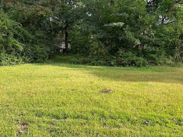 Land for sale in Guntersville, Alabama