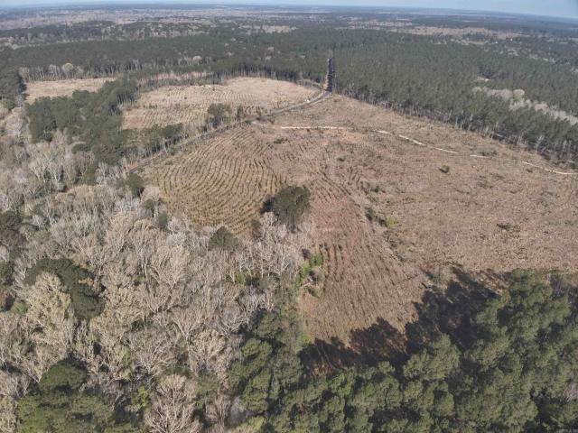 Land for sale in Ark