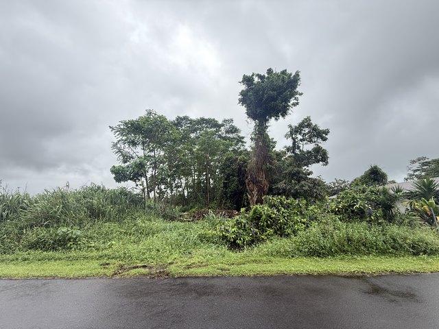 Land for sale in Pahoa, Hawaiʻi County