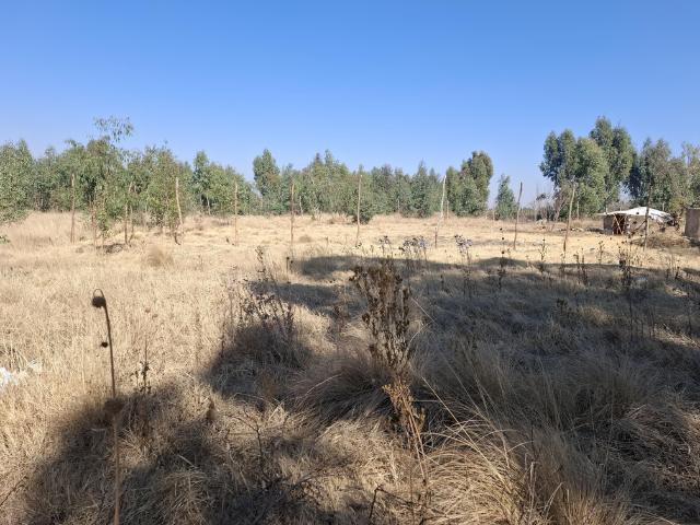 Property for sale in Mohlakeng, Gauteng