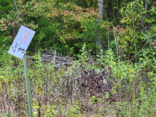 Land for sale in Tennessee