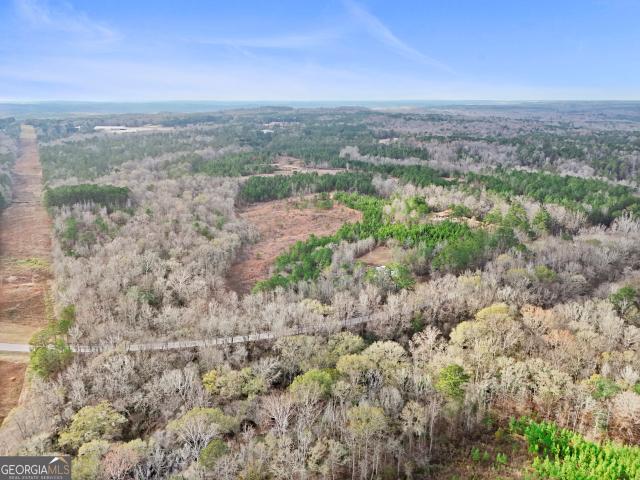 Commercial for sale in Franklin, Georgia
