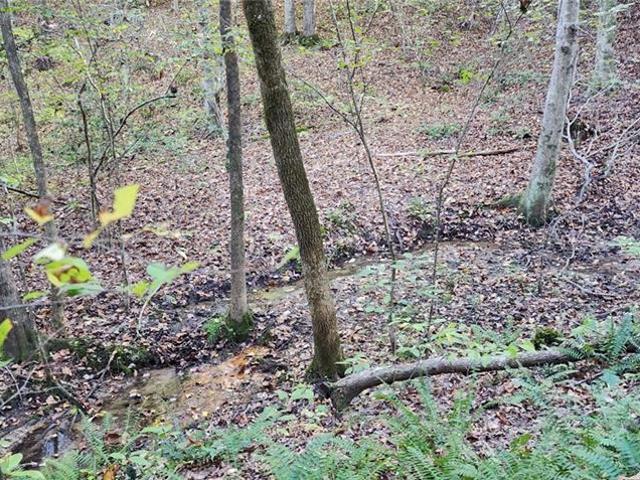 Land for sale in Virginia