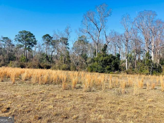 Land for sale in Glennville, Georgia