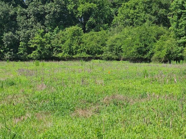 Land for sale in North Carolina