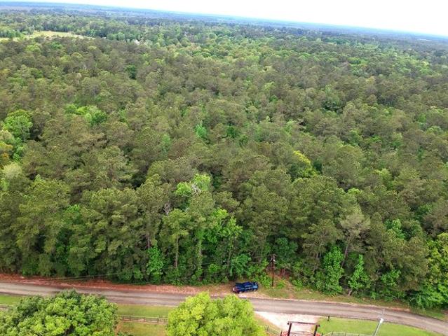 Land for sale in Hillister, Texas