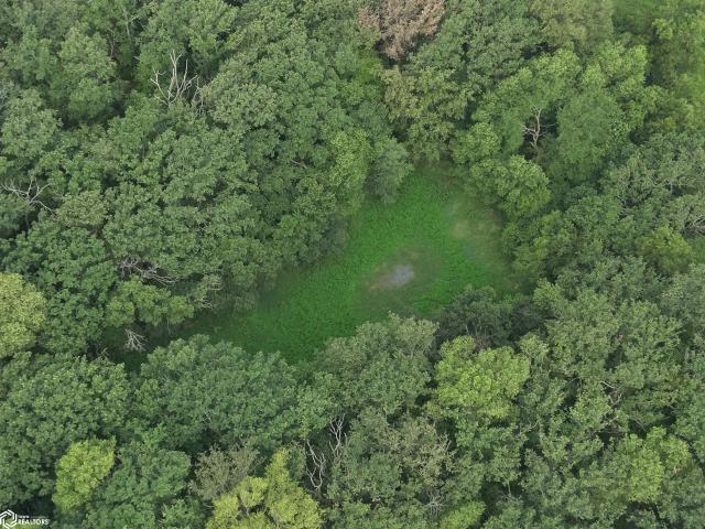 Land for sale in Essex, Iowa