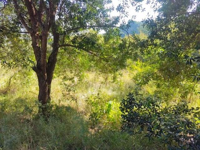 Land for sale in Ehlanzeni, Mpumalanga