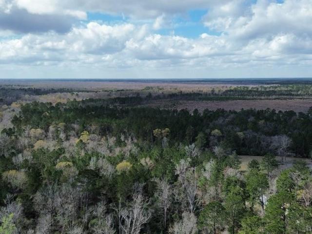 Land for sale in Bon Wier, Newton County