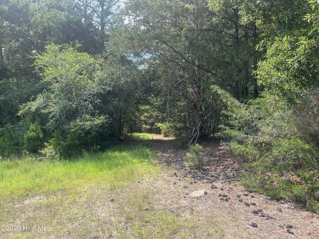 Land for sale in Lincolnton, Georgia