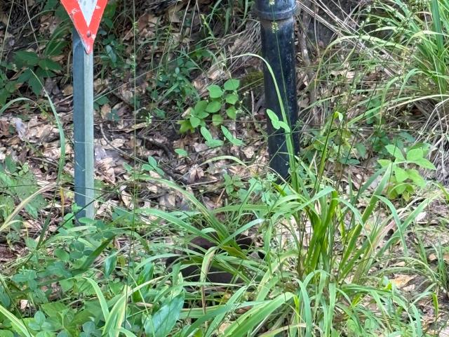 Land for sale in Jewett, Leon County