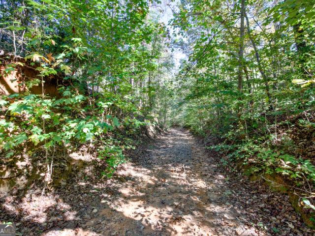Land for sale in Hollingsworth, Baldwin