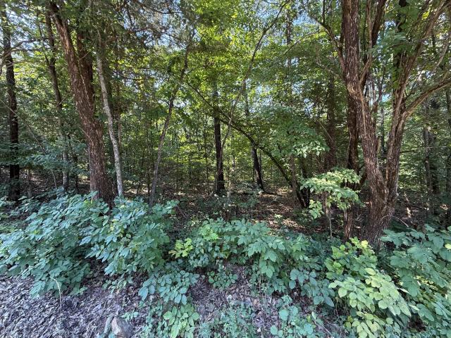 Land for sale in Stone, Missouri