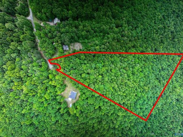 Land for sale in Flat Rock, Alabama