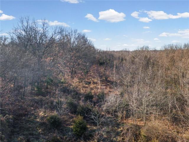 Land for sale in Butler, Bates County