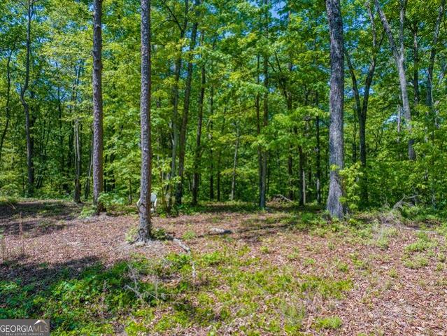 Land for sale in Haralson, Georgia