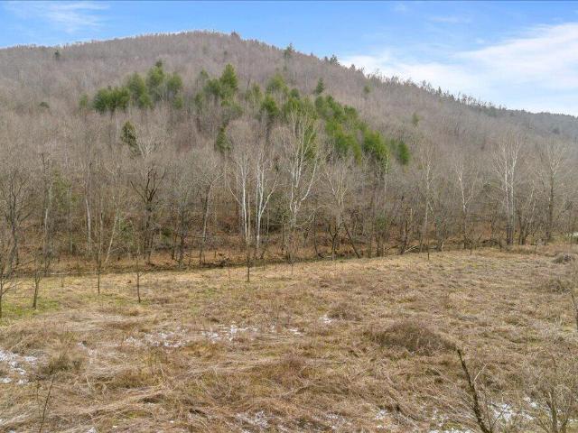 Land for sale in Tennessee