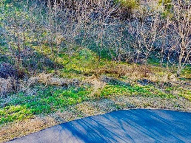 Land for sale in Blairsville, Georgia