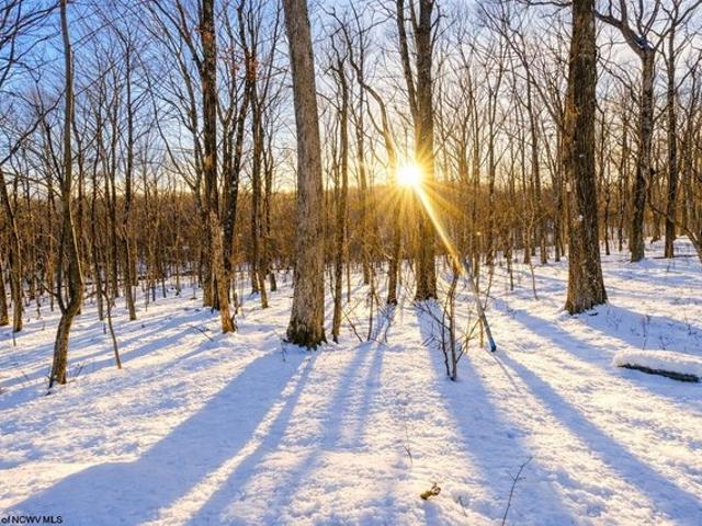 Land for sale in Terra Alta, West Virginia