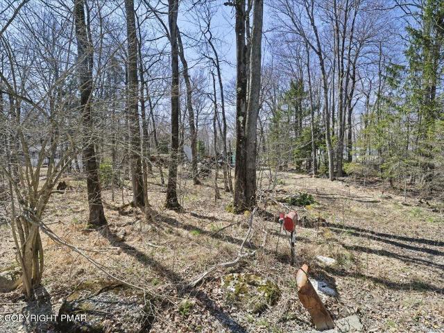 Land for sale in Newfoundland, Pennsylvania
