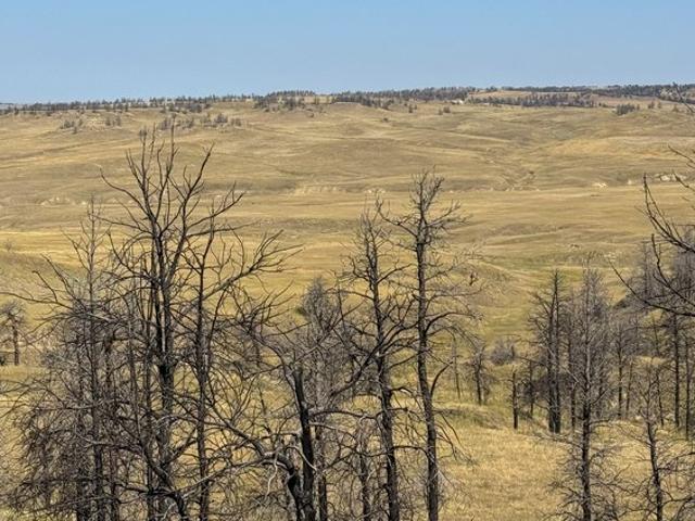 Farm for sale in Hysham, Montana