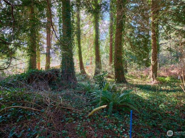 Land for sale in Point Roberts, Washington