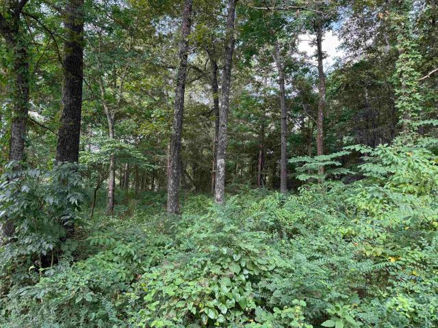 Land for sale in Ark
