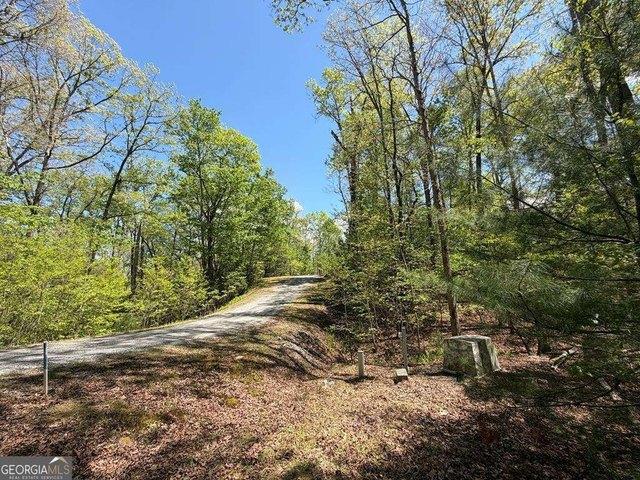 Land for sale in Morganton, Georgia