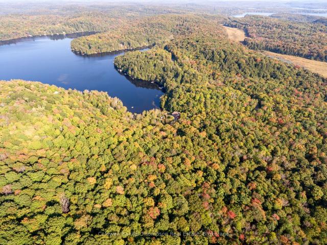 Land for sale in Muskoka, Ontario