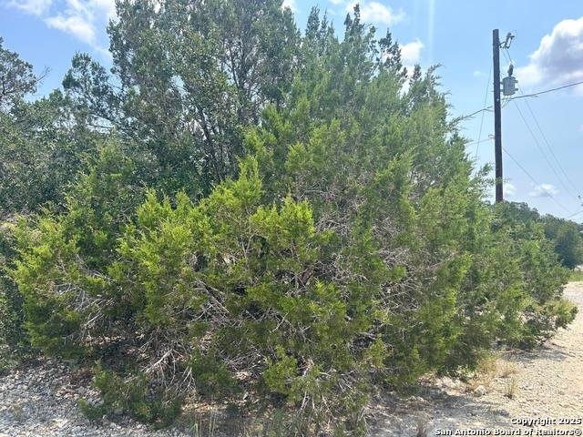 Land for sale in Spring Branch