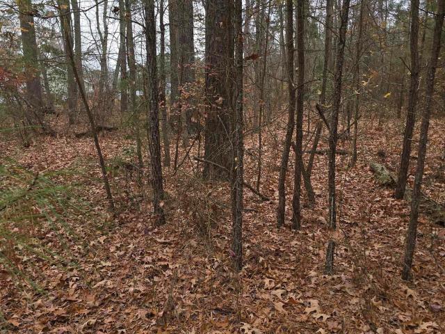 Land for sale in Virginia